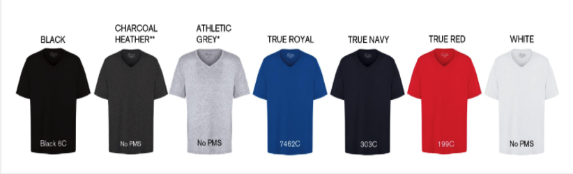 Men Vneck Tshirt colors